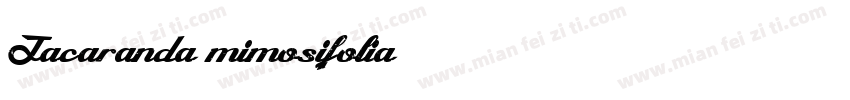 Jacaranda mimosifolia字体转换